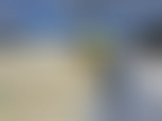 Different Ways to Insulate Your Attic Insulation in Goshen, Indiana