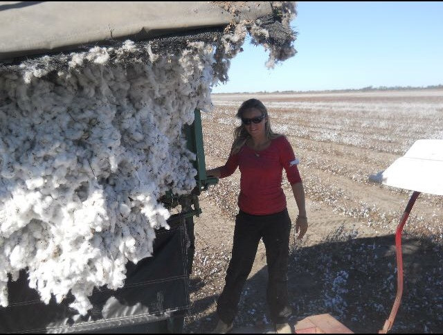 Time For Some Cotton Picking!