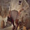 Miniature : Jupe short 046 taupe 
