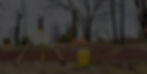 Surveyors Equipment _edited.jpg