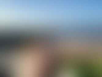 Bursa arazi ölçümünü/sınır tespitini kim yapar_