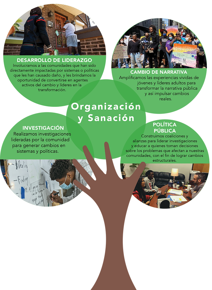 What we do_CU_graphic_SP.png