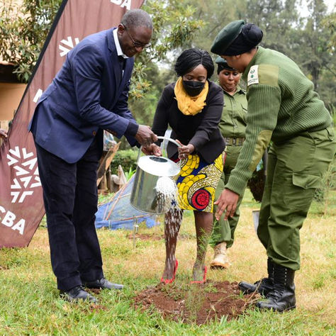 How locally-based organizations championed environmental conservation in June
