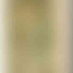 Carte Illustrateur Alphonse Mucha