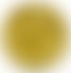 Pièce en or à l'effigie de Napoléon III et sa couronne de laurier