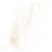 Golden Glitter Splash