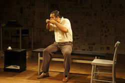 Os Sete Gatinho de Nelson Rodrigues