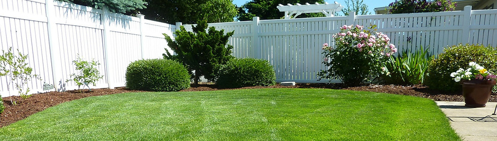 Deep Root Fertilization