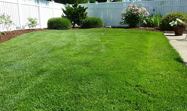 lawn care omaha, fertilization omaha, aeration omaha, landscaping omaha