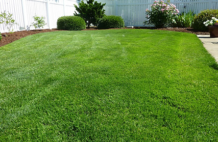 alter of service topdressing
