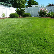 Deep Root Fertilization