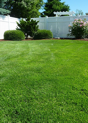 Manicured Backyard Lawn