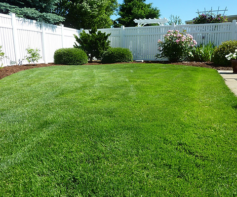 green grass with Fertilization and weed controll treatment