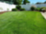 Fresh reliable pet cleanup for a clean green lawn