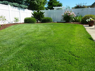 Deep Root Fertilization