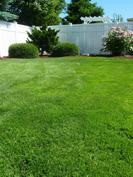 Deep Root Fertilization