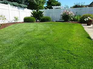 Deep Root Fertilization