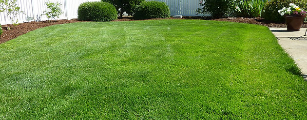 Deep Root Fertilization