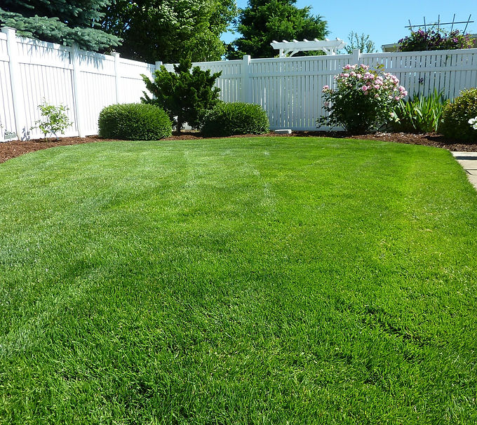Deep Root Fertilization