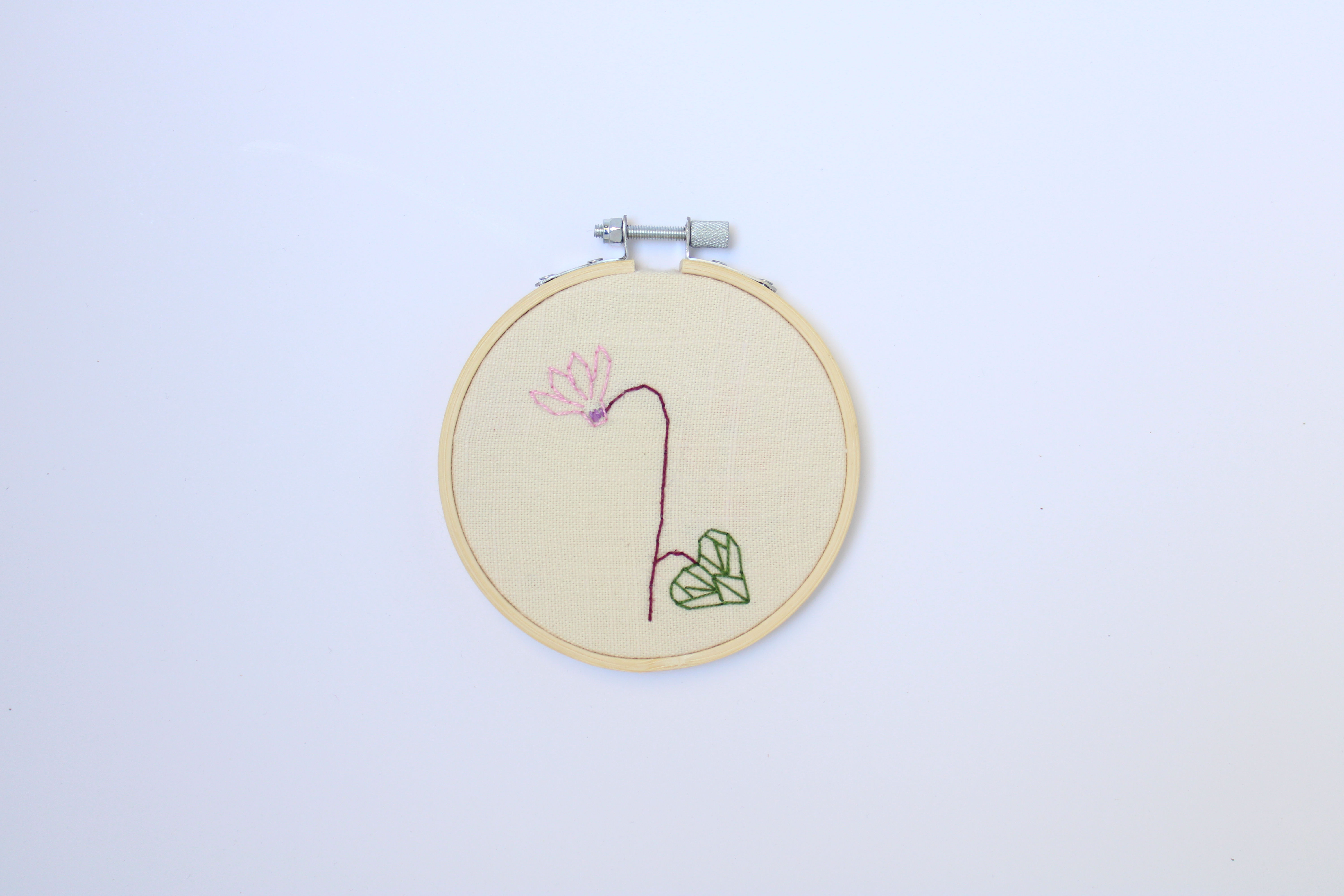 רקפת אצילית