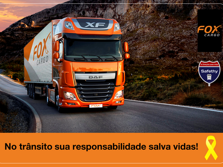 Workshop na Fox Cargo