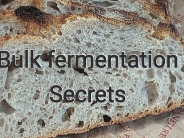 The Secret of Bulk fermentation Time, or the Magic of Fermentation in No-Knead Sourdough Bread