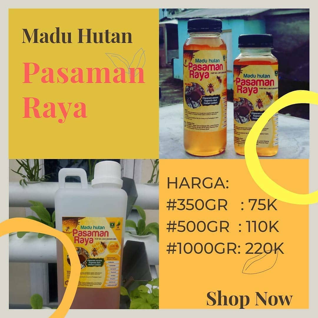 Madu Hutan Pasaman Raya