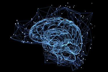 Brain with neuronal connections.jpeg