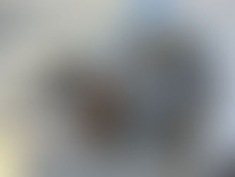 October Tap Trip '25