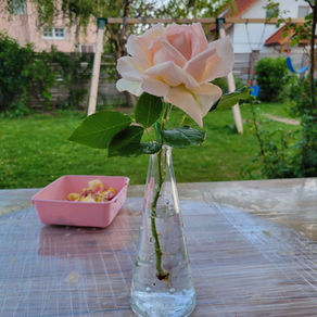 The Beautiful Changes