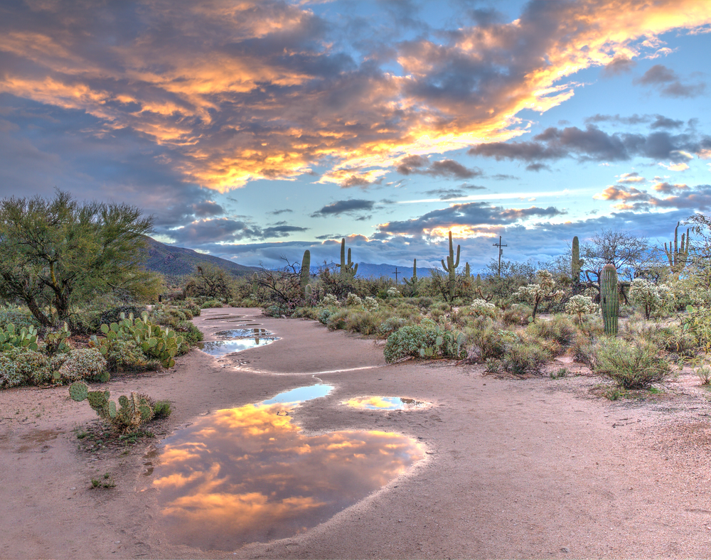 desert landscape with cloudy sunset reflected in puddles