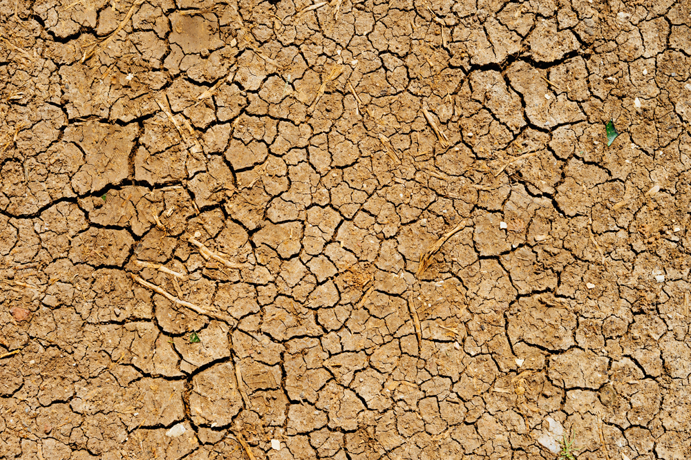 dry and cracked brown desert soil