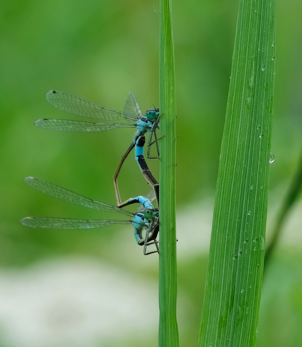 Rencontres du jour - Photographie Catherine Régnier le 27 juillet 2021