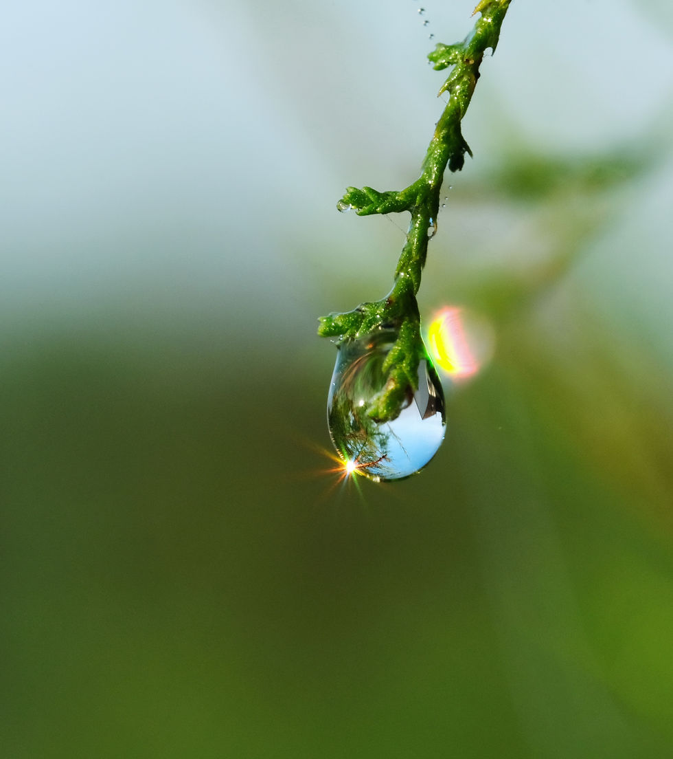 Perles de lumière - Photographie Catherine Régnier le 22 septembre 2021