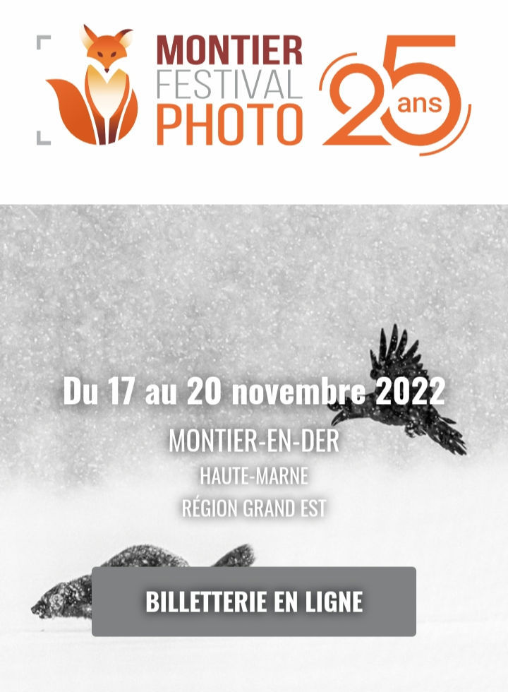 Page d'accueil du site internet du Festival Montier