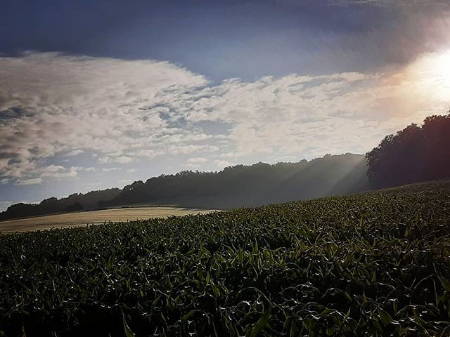 Lever de soleil derrière la maison - Photographie Catherine Régnier 2020