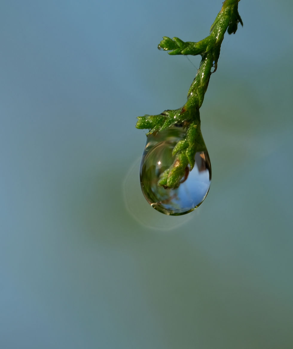 Perles de lumière - Photographie Catherine Régnier le 22 septembre 2021