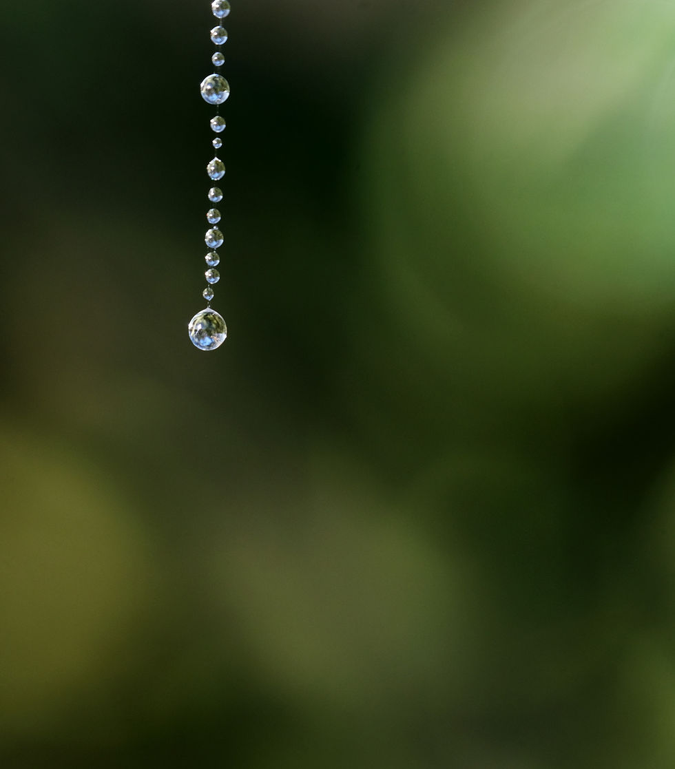 Perles de lumière - Photographie Catherine Régnier le 22 septembre 2021