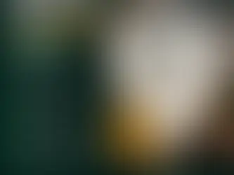 Quais erros podem fazer você perder uma área na ANM?