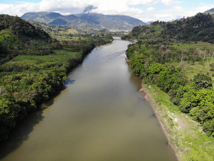 Cadastro Técnico Federal: A Base para a Gestão Ambiental Responsável