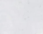 275653728_1198622477398028_5179727673032554458_n_edited.jpg
