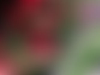 Peter's Transformation