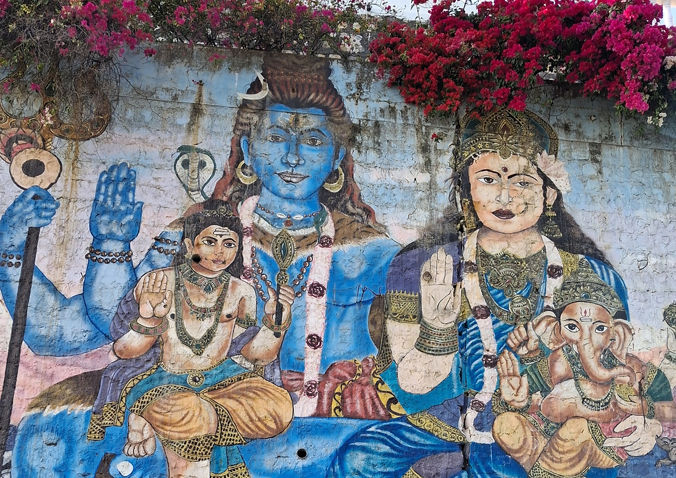 Indienreise I – Von Rajasthan zum Himalaya