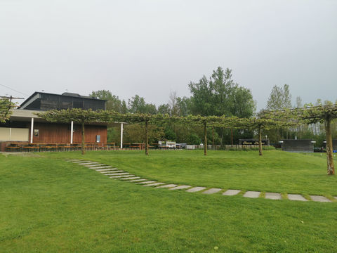 Rasenfläche, Gehweg und Pergola