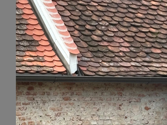 Dachsanierung