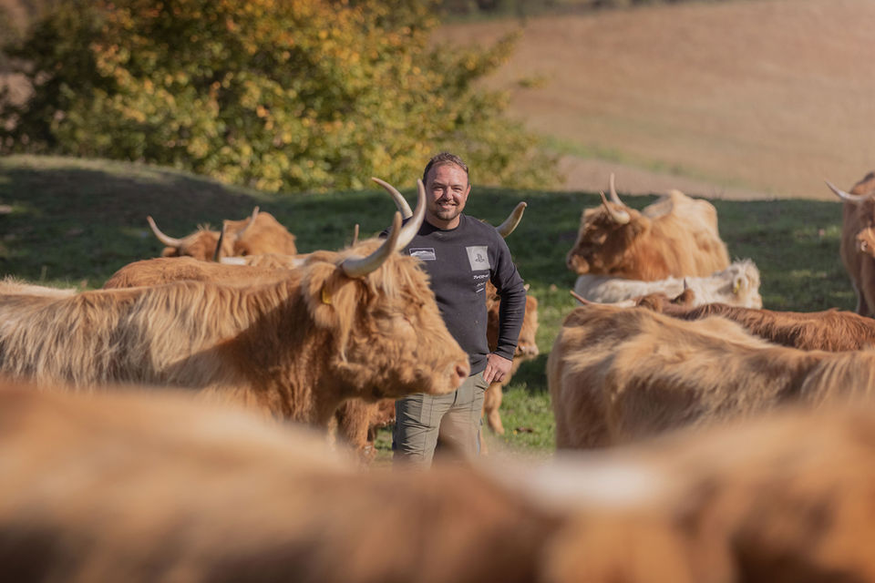 Chef Michael und seine Hochlandrinder