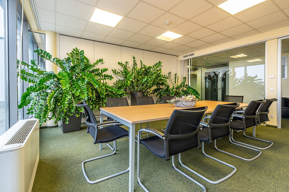 Büro im South Buda Business Park