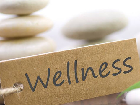 ¿QUE ES EL WELLNESS?
