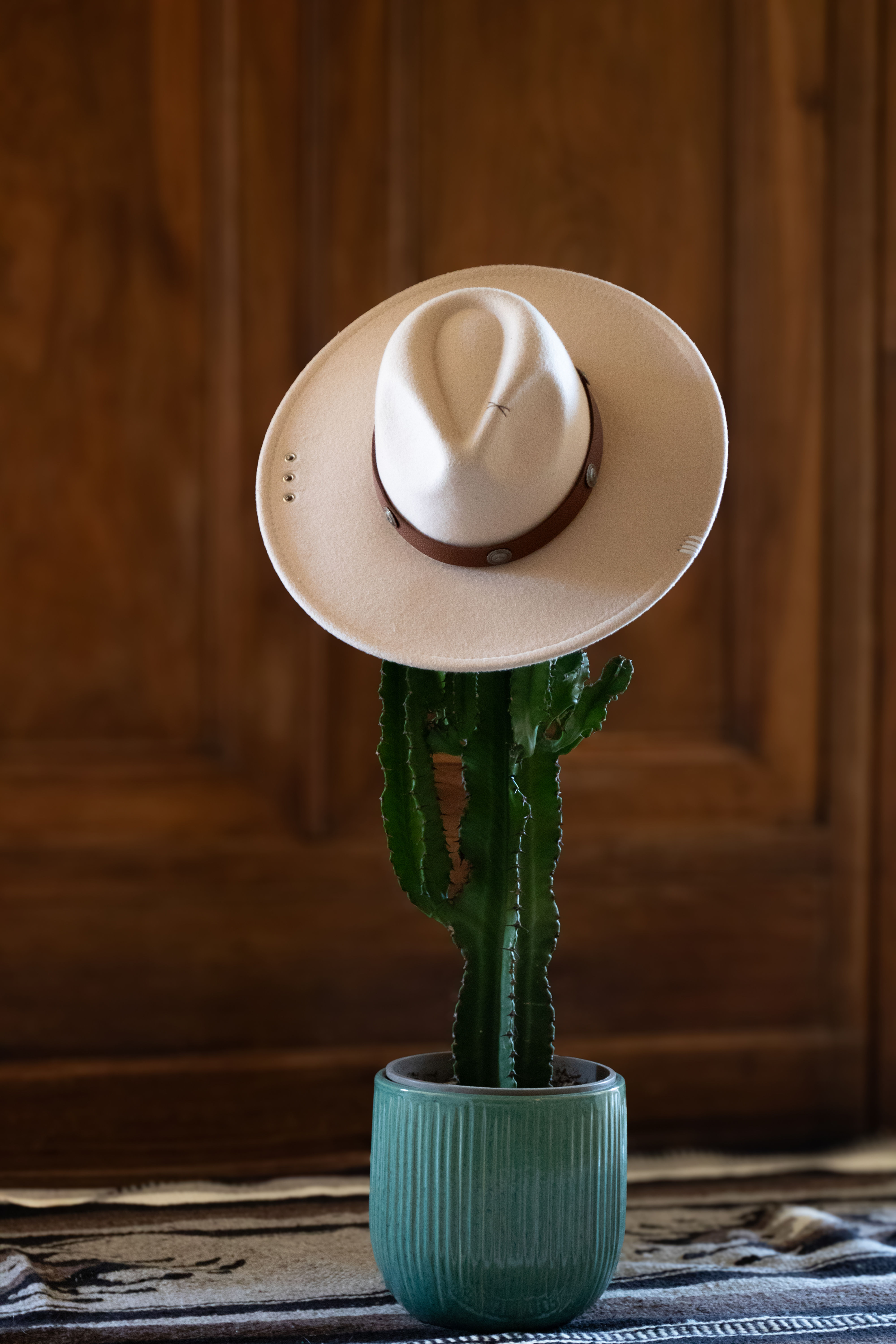 Chapeau Fedora beige à large bord