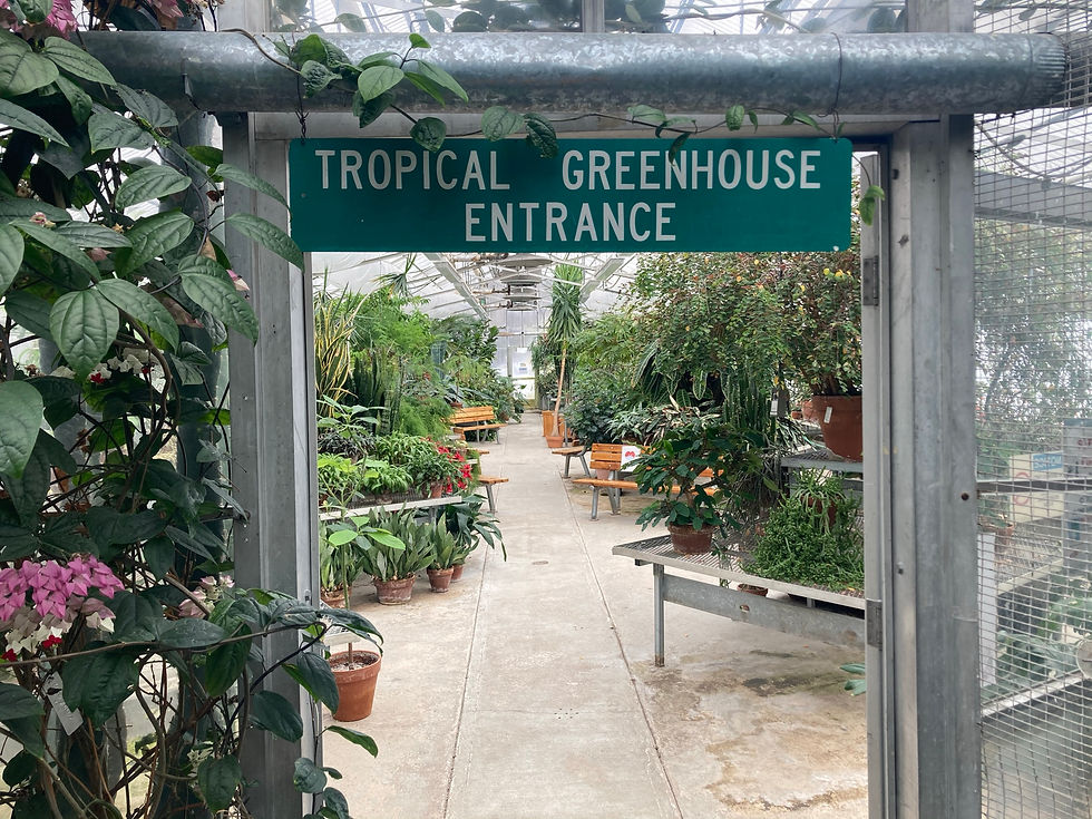 Greenhouse